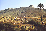 Fuerteventura - Vega de Rio Palmas
